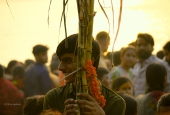 IIP Online Student Photography